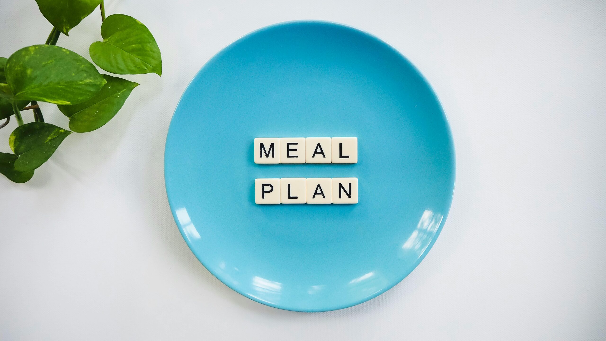 Diet Plan by Adi Meal Plan By Adi