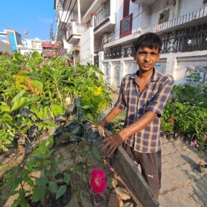 sachin plants e block (2)